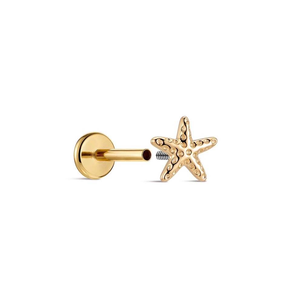 CANNER 14 Ayar Som Altın Deniz - Tragus Flat Back incelemesi ve fiyatı
